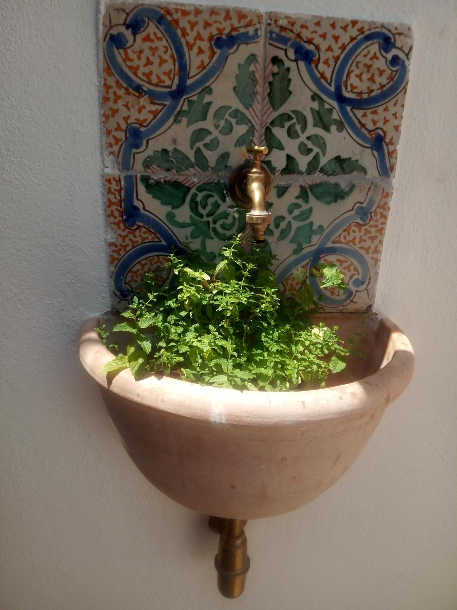 Il Terrazzino Sul Kemonia Apartment Palermo Exterior foto