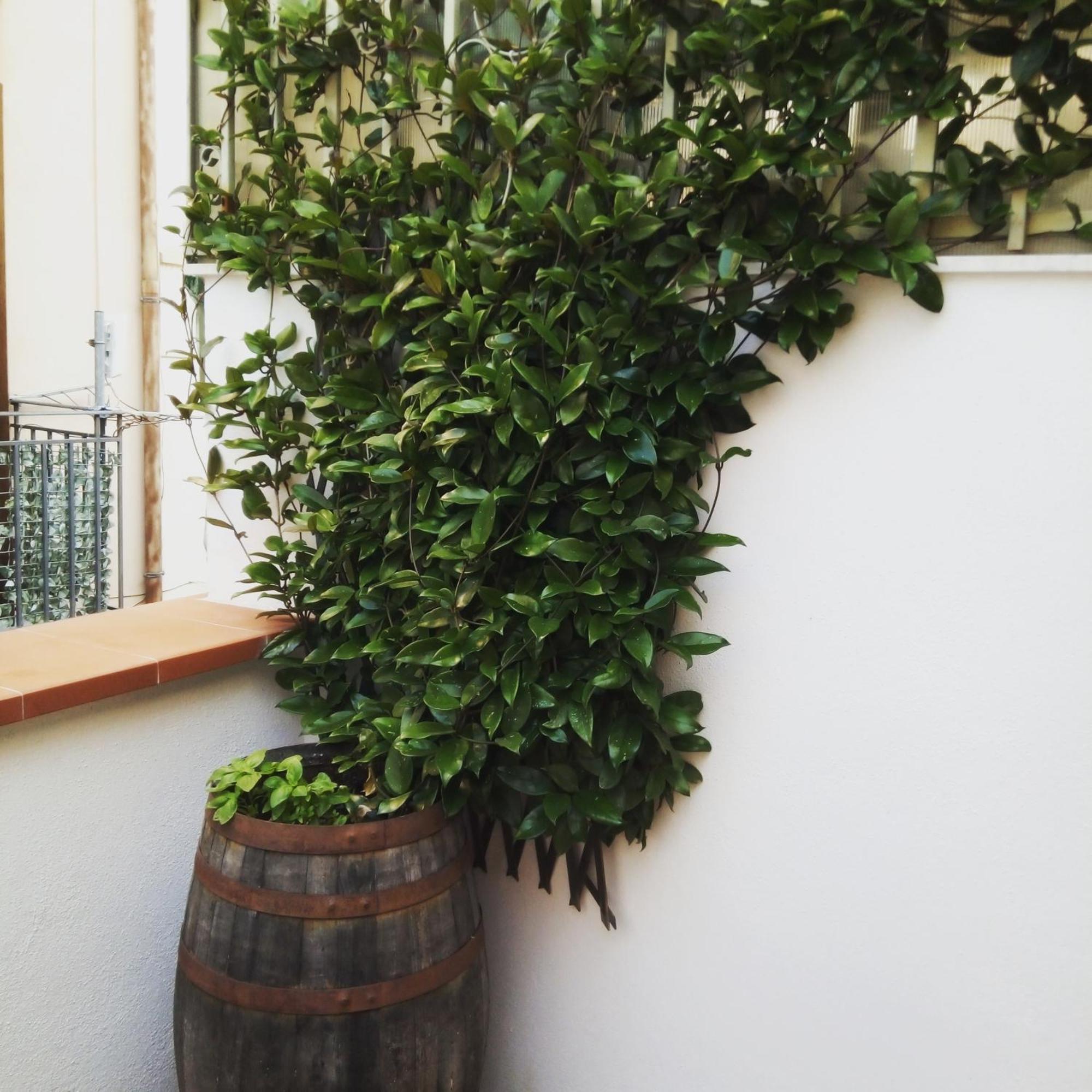 Il Terrazzino Sul Kemonia Apartment Palermo Exterior foto